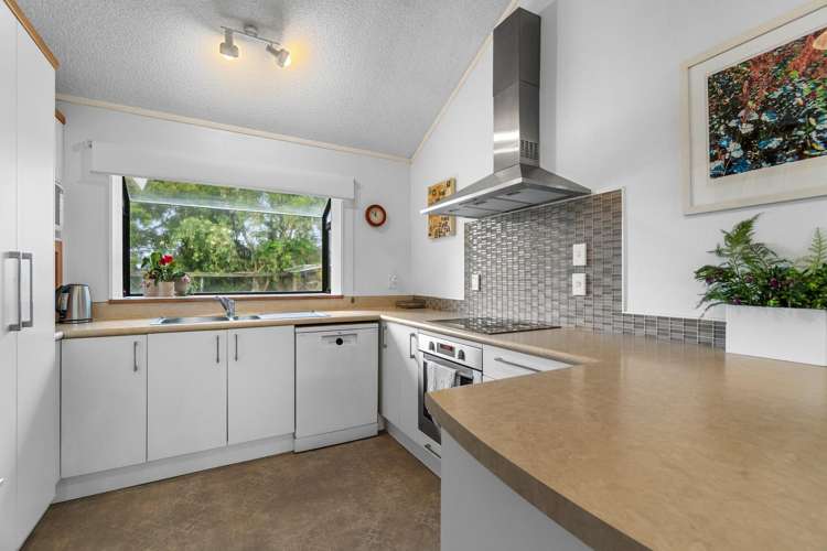 43 Mikkelsen Road Te Aroha_7