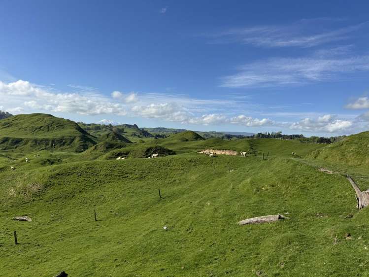 268a Tiriraukawa Road Taihape_17