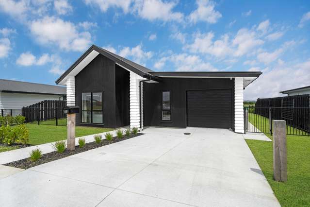 49 RARANGA ROAD Te Kauwhata_3