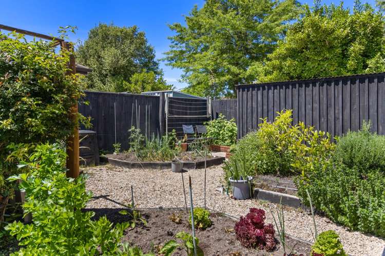 2 Hitaua Place Redwoodtown_4