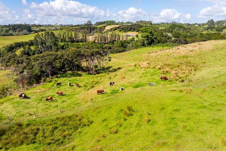 64 De Boer Lane Mangawhai_36