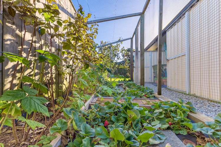 17 Dal Din Drive Otaki_17