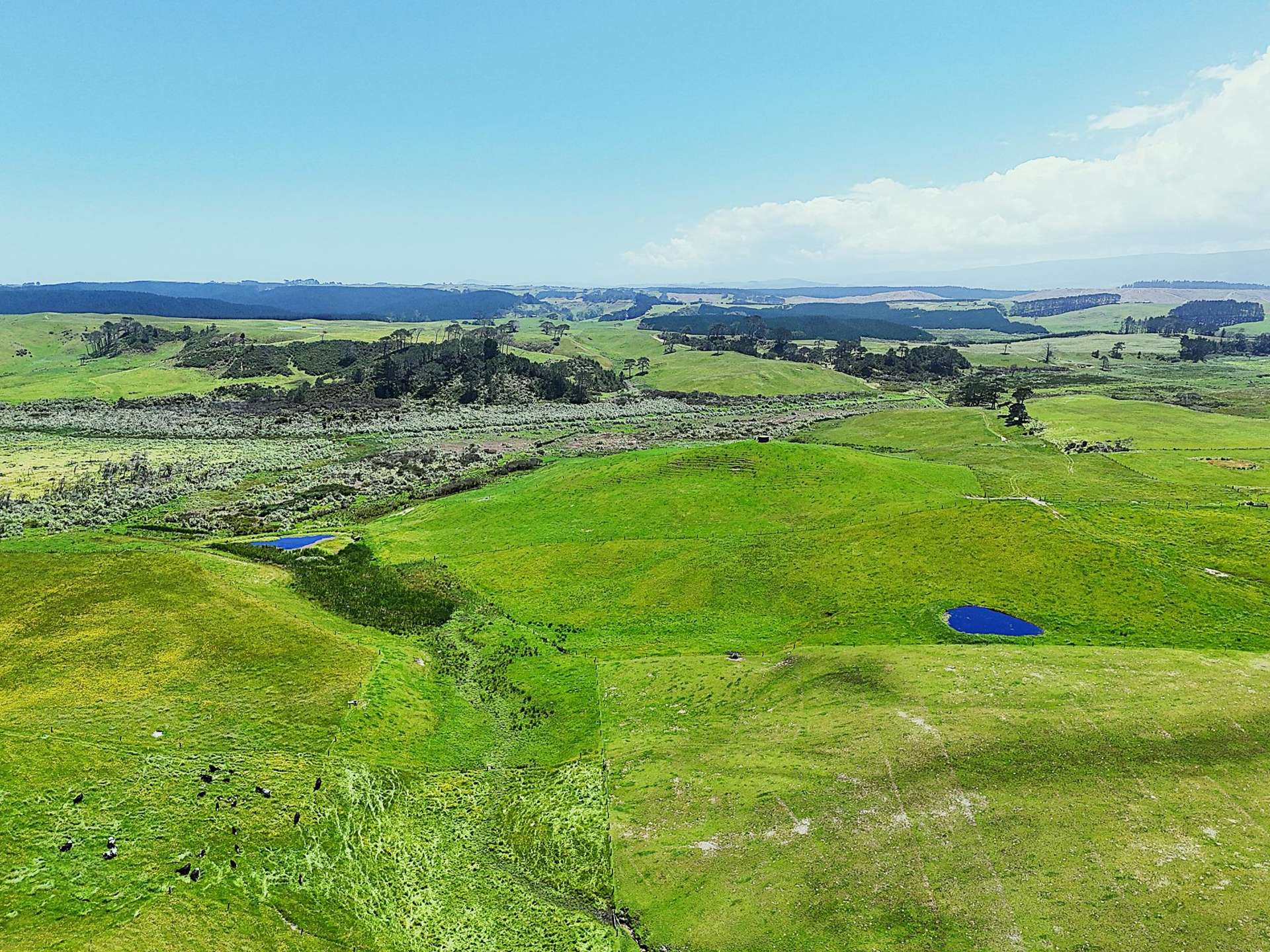 Lot Lot 2 Scottys Camp Road Dargaville_0