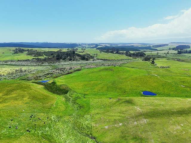 80.67ha Rural Opportunity - Close to Town