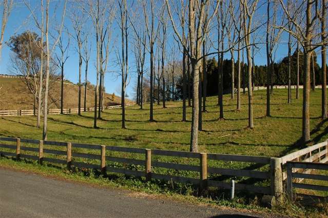 102e Maungakawa Road Cambridge_1