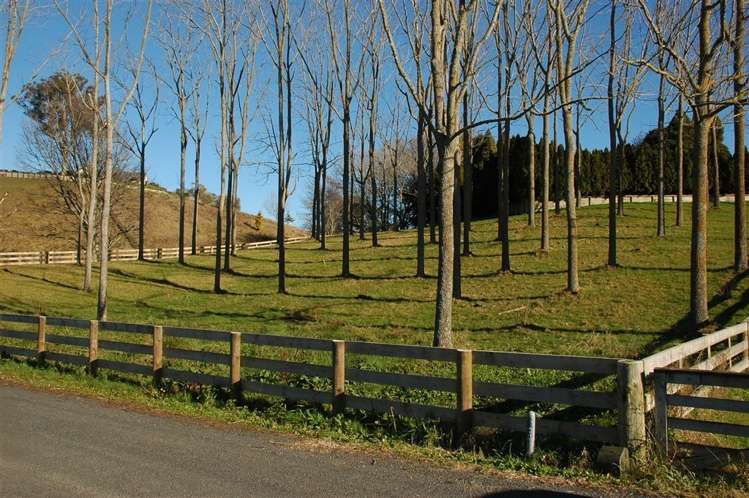 102e Maungakawa Road Cambridge_1