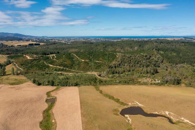 Waiwhero Road Ngatimoti_6