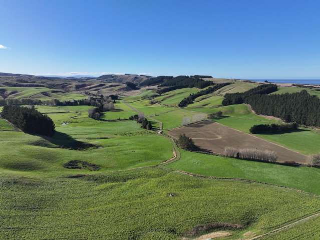 Grazing Dairy Support or Future Dairy Farm