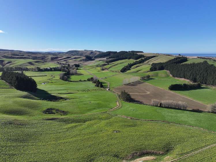 114 Bull Creek Road_0