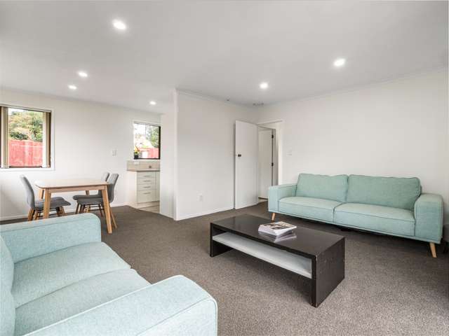 12a Battersby Avenue Mount Roskill_2