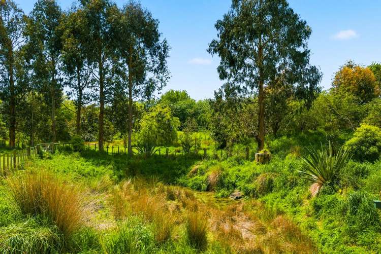 340D Ngarara Road Waikanae_11