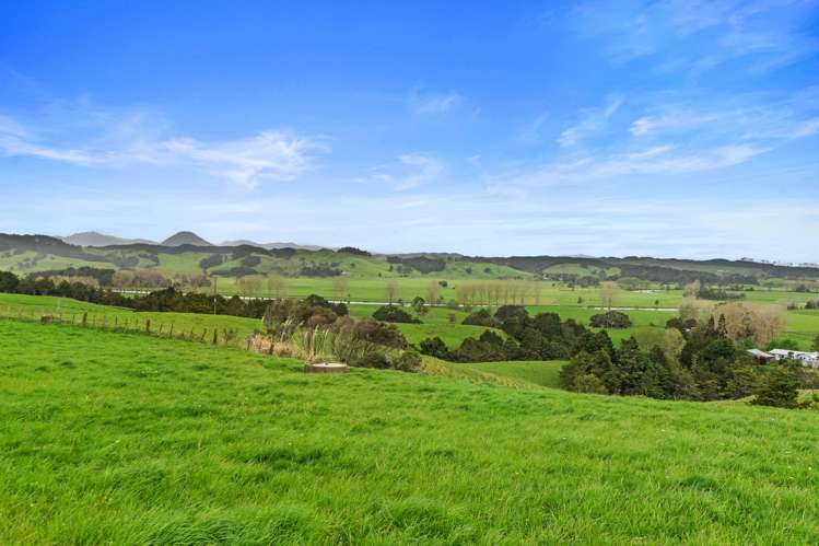 Pukehuia Road Tangiteroria_12