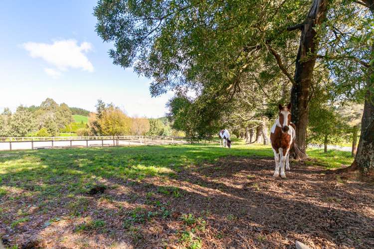 1541 Dovedale Road Thorpe_13