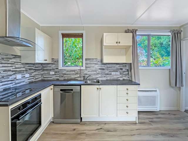 9B Strickland St Sydenham_2