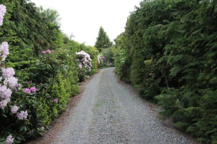 72 Bush Street Lumsden_3