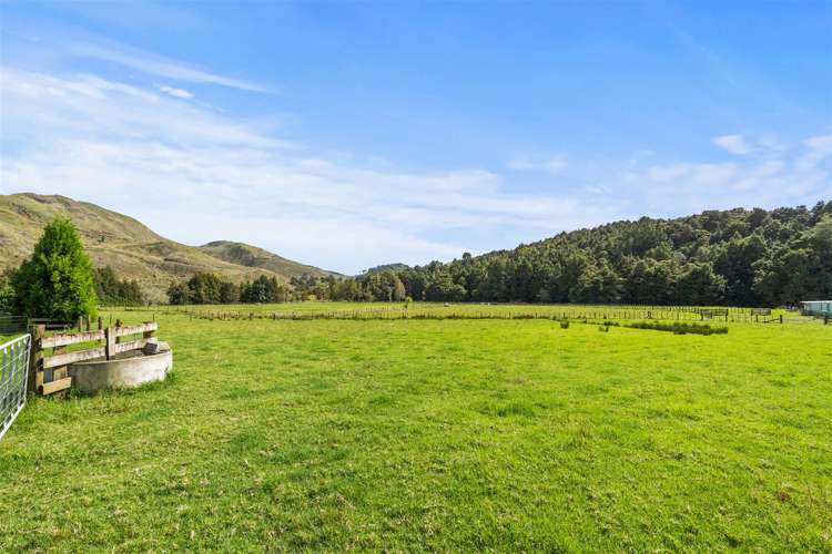 710 Sommerville Road Dargaville Surrounds_24