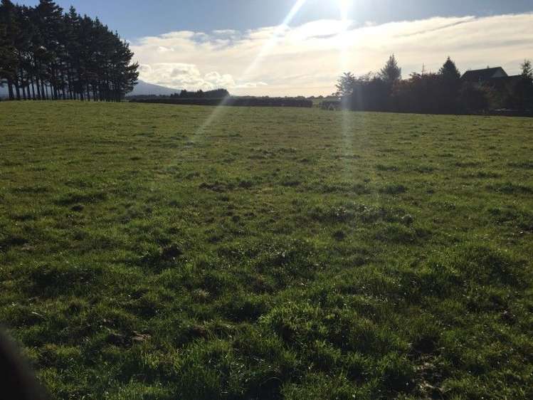 311 Opunake Road Cardiff_36