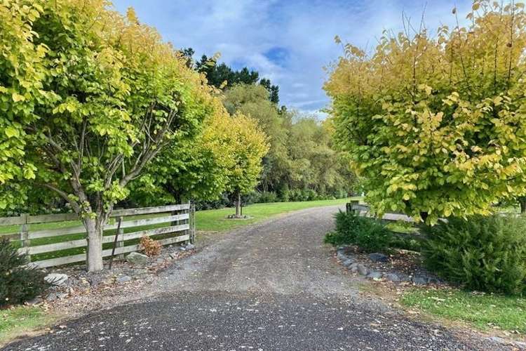 563 Mangaone Road Halcombe_18