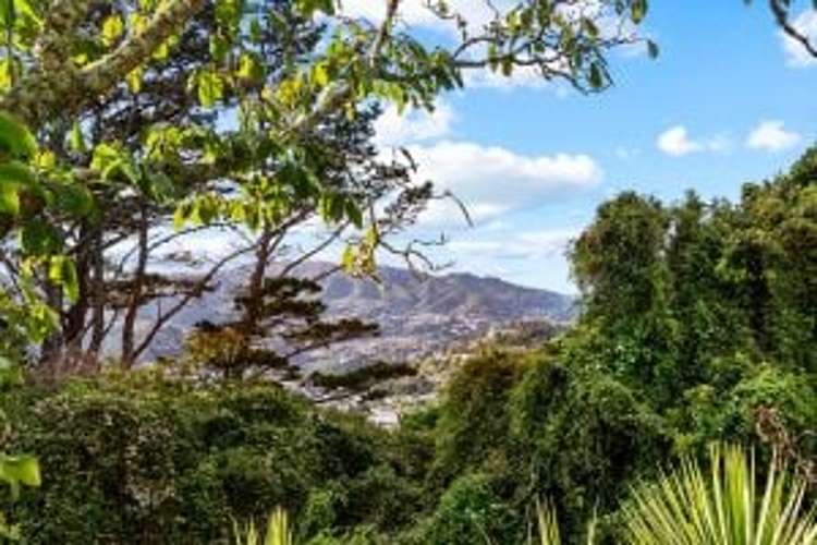 47B Huntingdon Street Northland_2