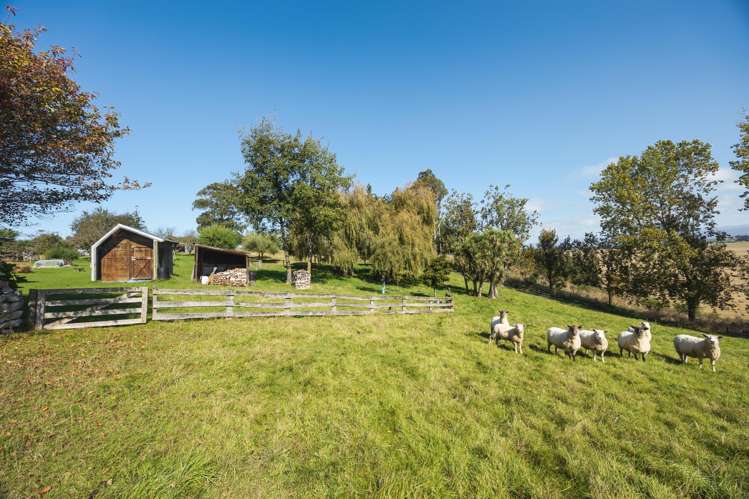 376 Awamoa Road Oamaru_27