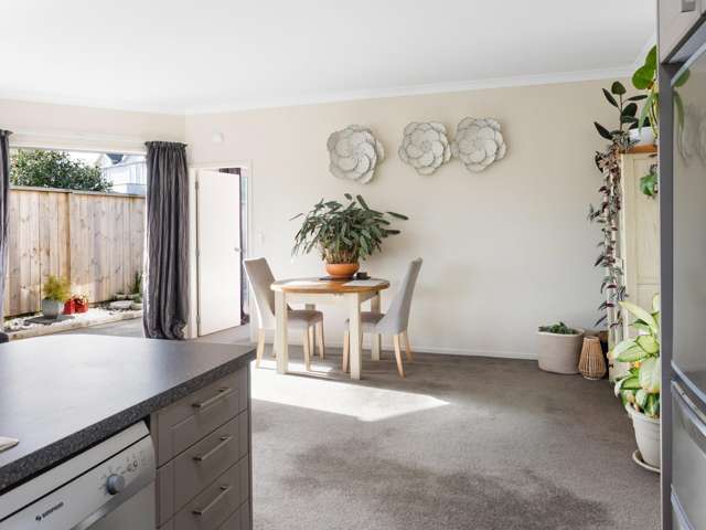 7b Harrow Place Mount Maunganui_3