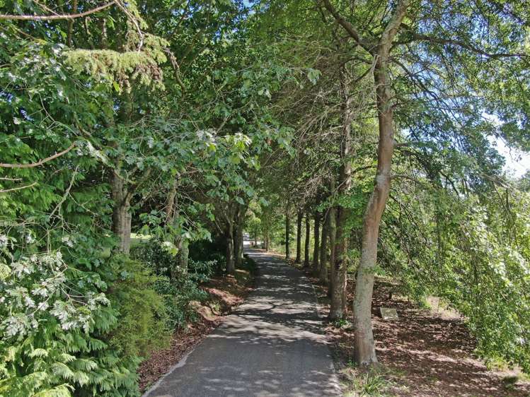 18 Angelus Avenue Richmond_6