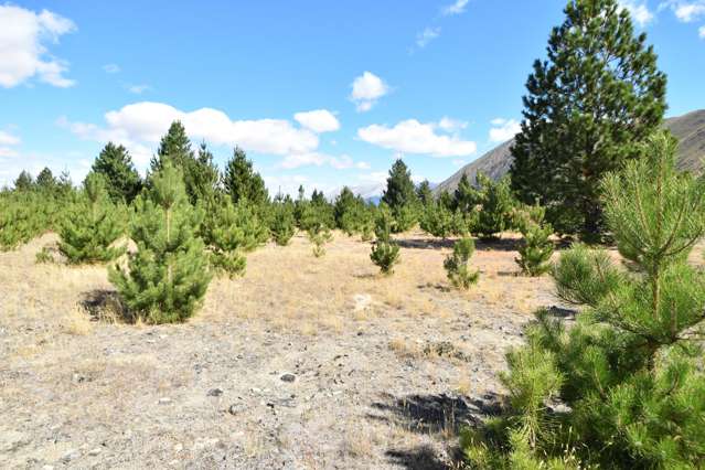 10 Flanagan Lane Twizel_2