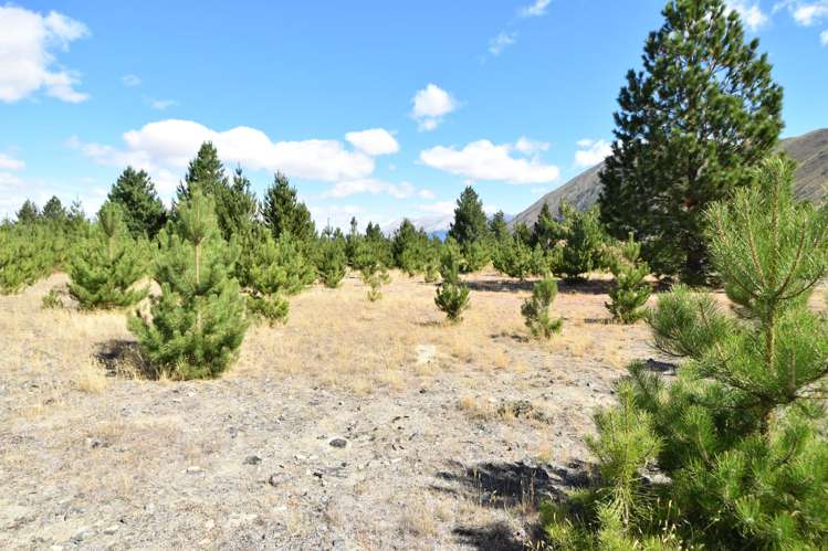 10 Flanagan Lane Twizel_2