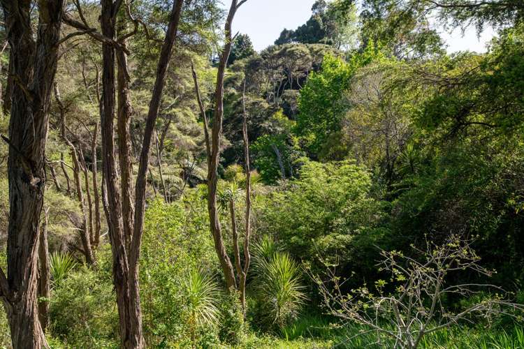 6 Main Road Raglan_20