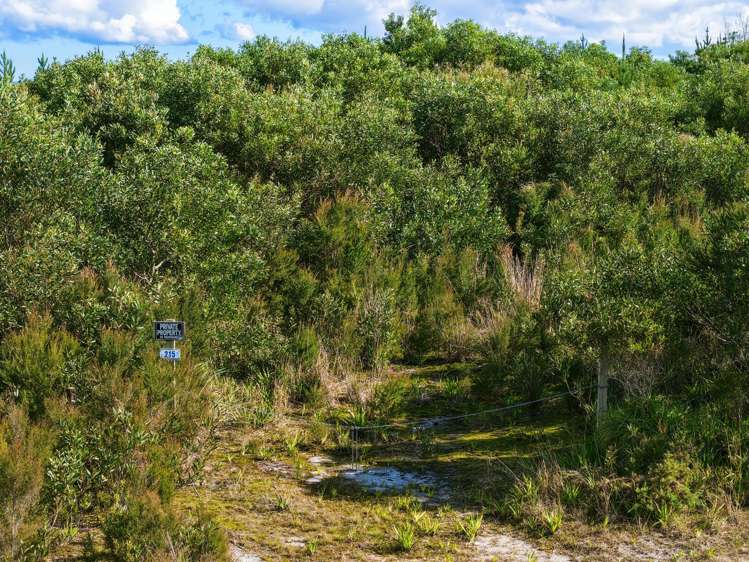 215 Tahanga Road Lake Ohia_34