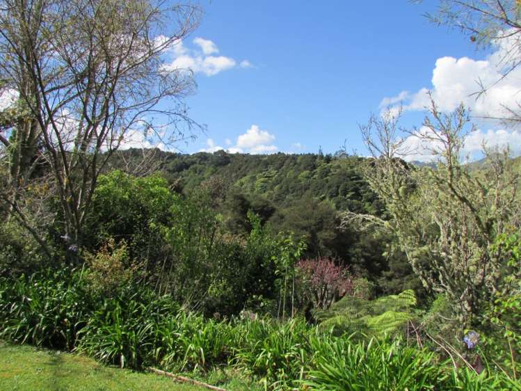 589 Kauaeranga Valley Road Thames_25