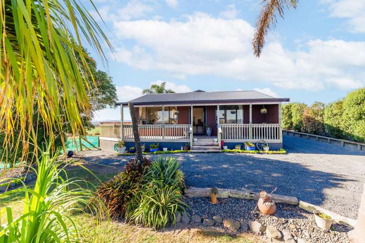 532 Island Block Road Te Kauwhata_2