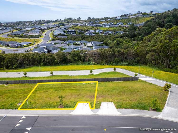 12 Pamu Wera Drive Stanmore Bay_5