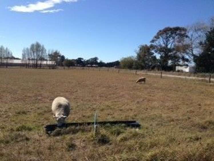 34 Manse Road Leeston_1