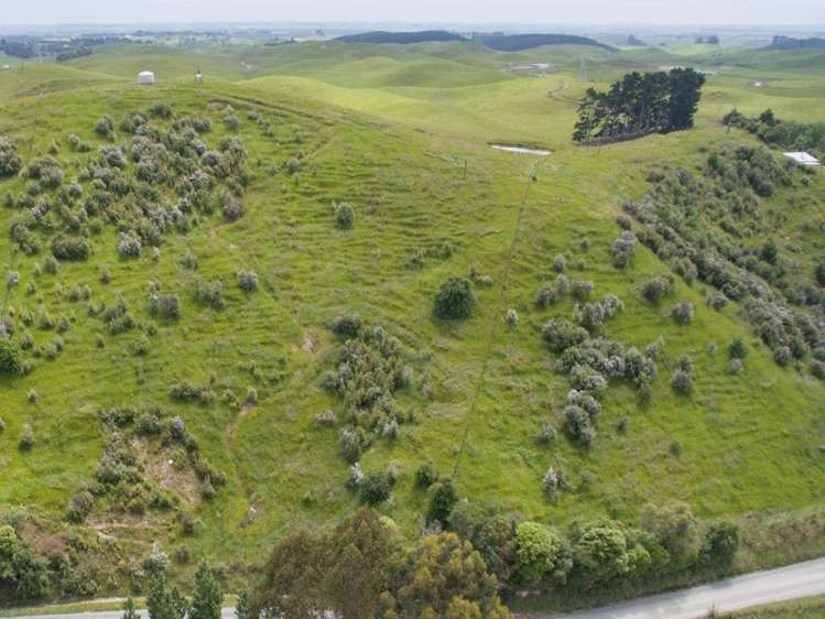11 Ridge Road Pohangina_9