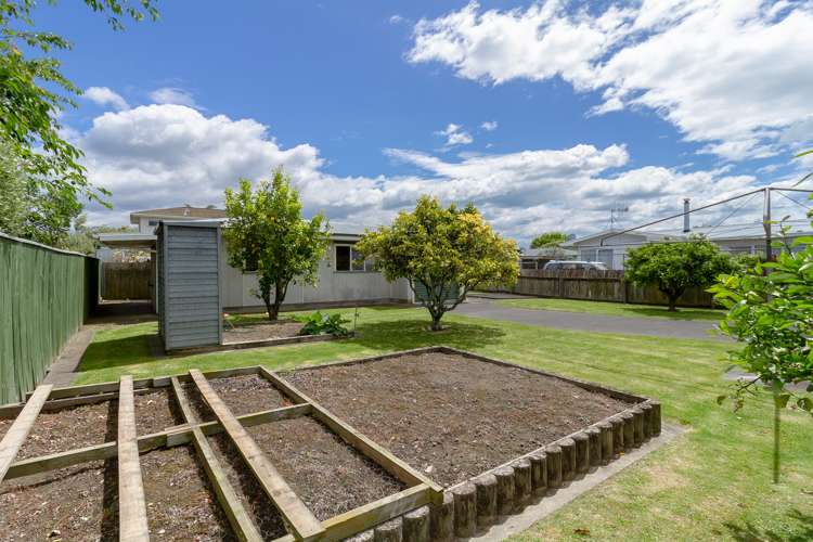 269 Kennedy Road Onekawa_17