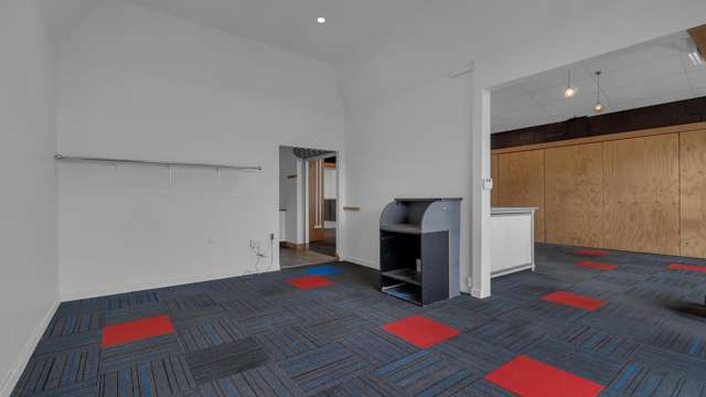 33 Battersea Street Sydenham_4