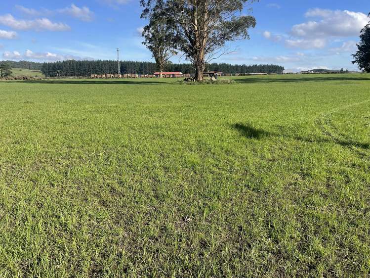 State Highway 1 Kinleith_1