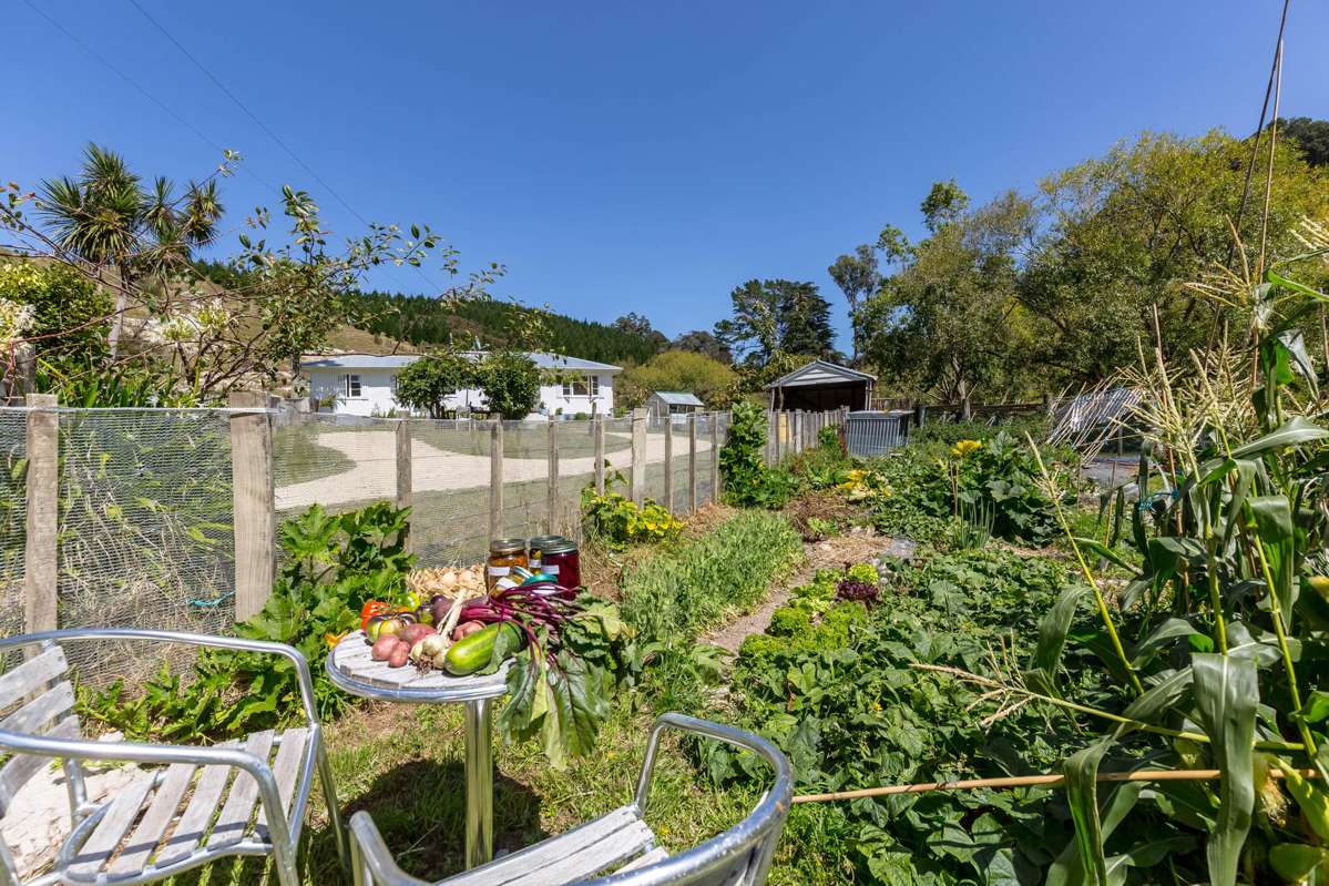 2010 Te Wharau Road_3