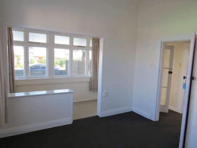 25 Reeve Street Levin_4