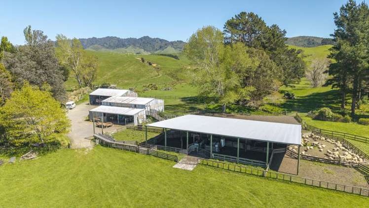 329 North Road Masterton_6