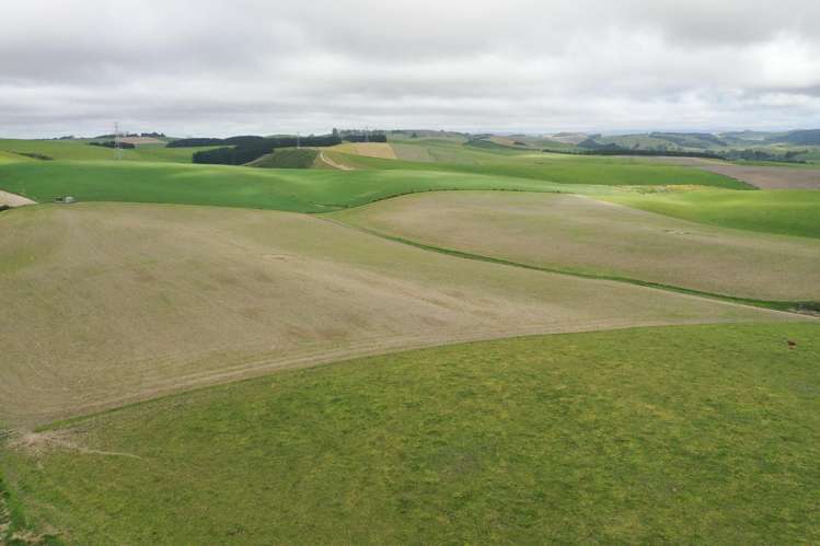 1159 Winchester Hanging Rock Road Kakahu_19