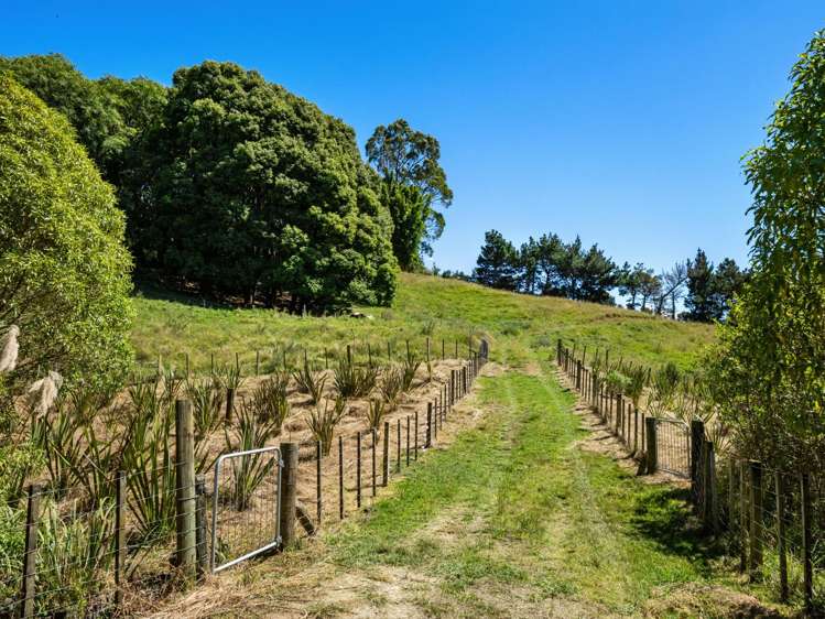 8 Pine Ridge Lane Aongatete_40