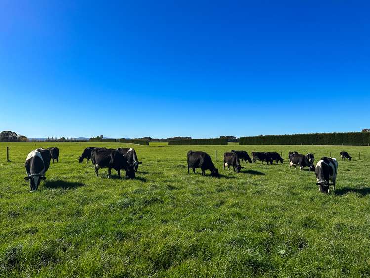 793 Edendale Woodlands Highway Winton Surrounds_5