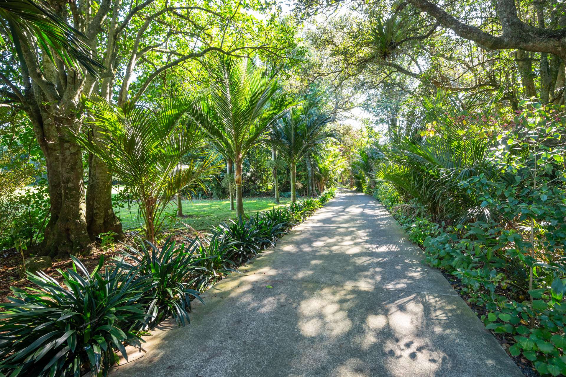 638 Ngunguru Road Glenbervie_0