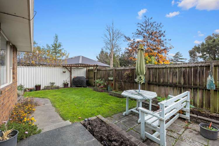 46B Cashmere Grove Witherlea_11