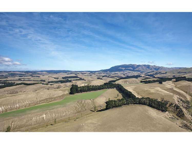 279 Mound Road Broomfield_21