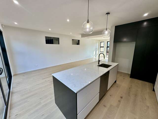 30 Burch Street Mount Albert_2