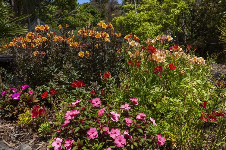 31 Eagles Way Cable Bay_24