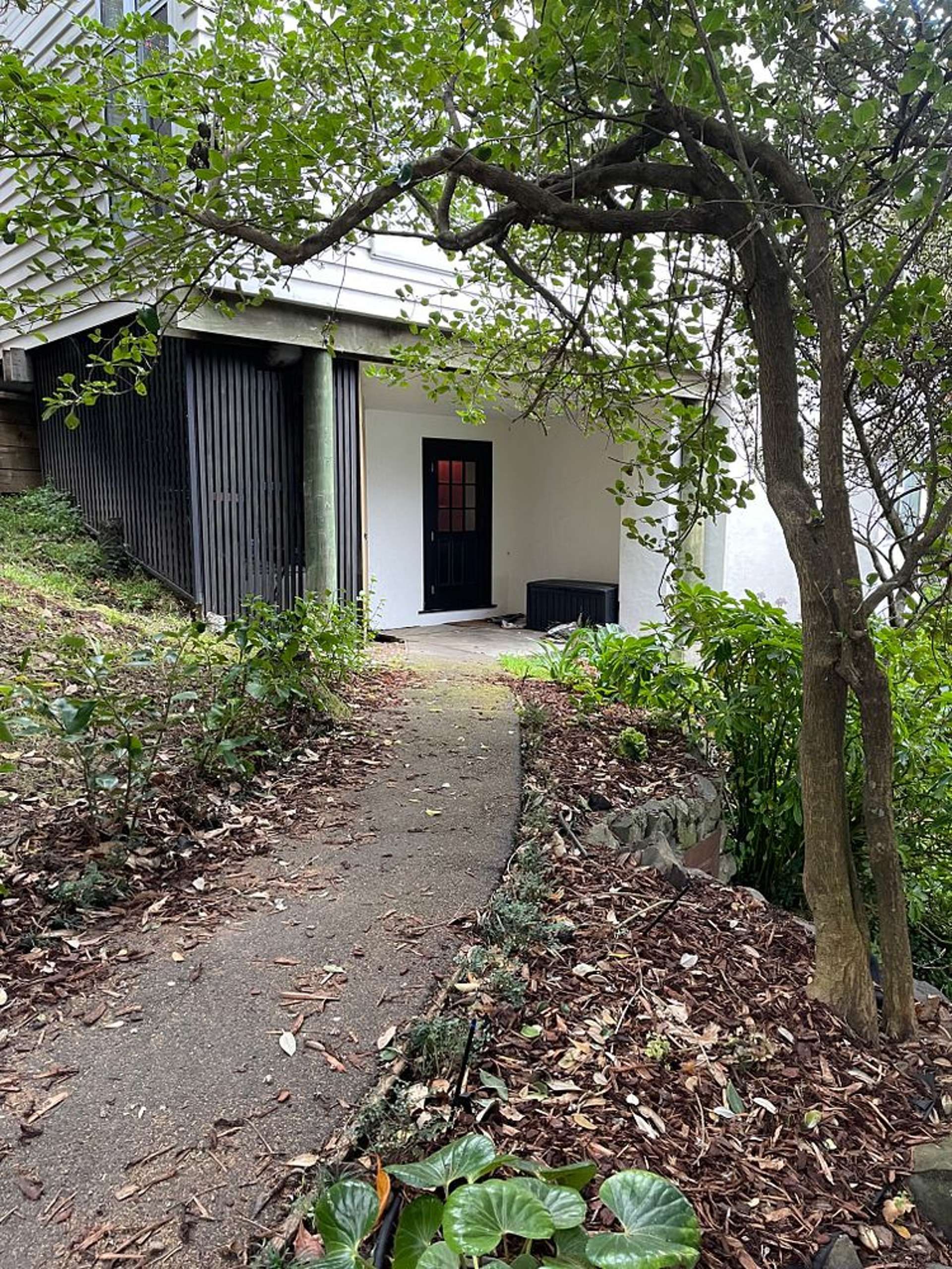 20 Orchard Street Wadestown_0